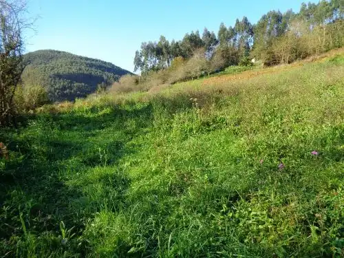 Terreno rustico in vendita a Parroquias suroccidentales, imagen 9