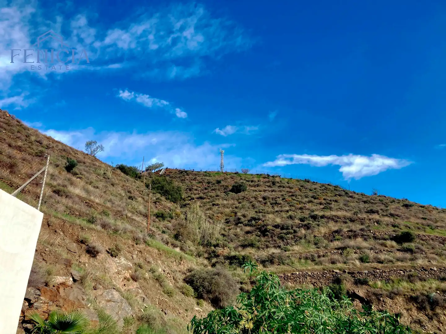 Terreny rústic en venda a Monte los Almendros - El Pargo - Costa Aguilera, imagen 5