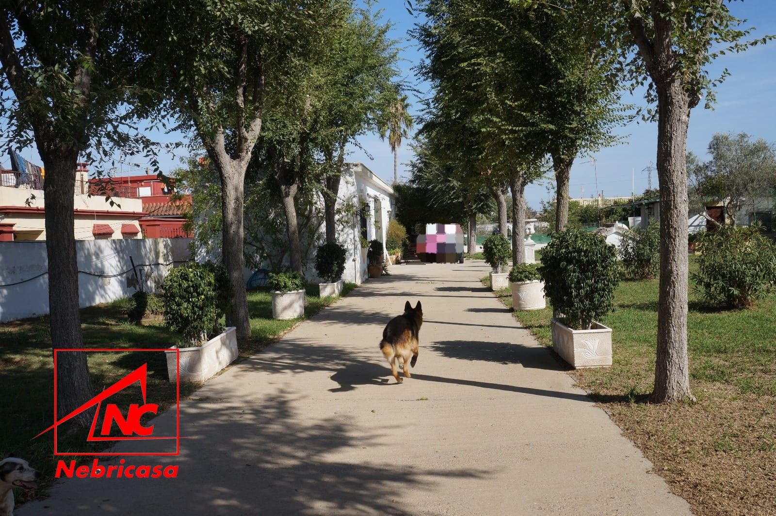Vista exterior de Casa o xalet en venda en Sanlúcar de Barrameda