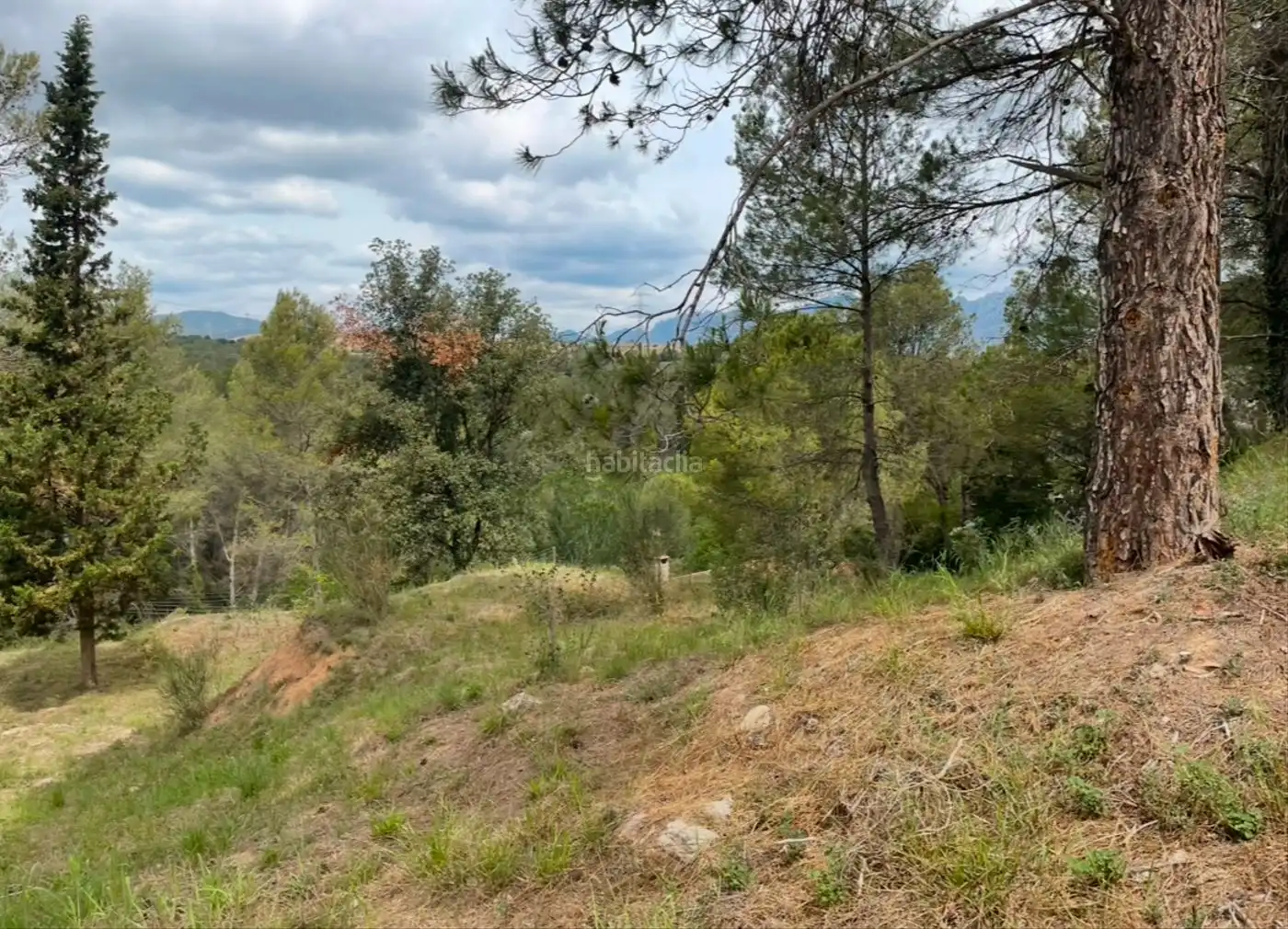 Terreno residencial en venta en Carrer de Pau Casals 7, imagen 7