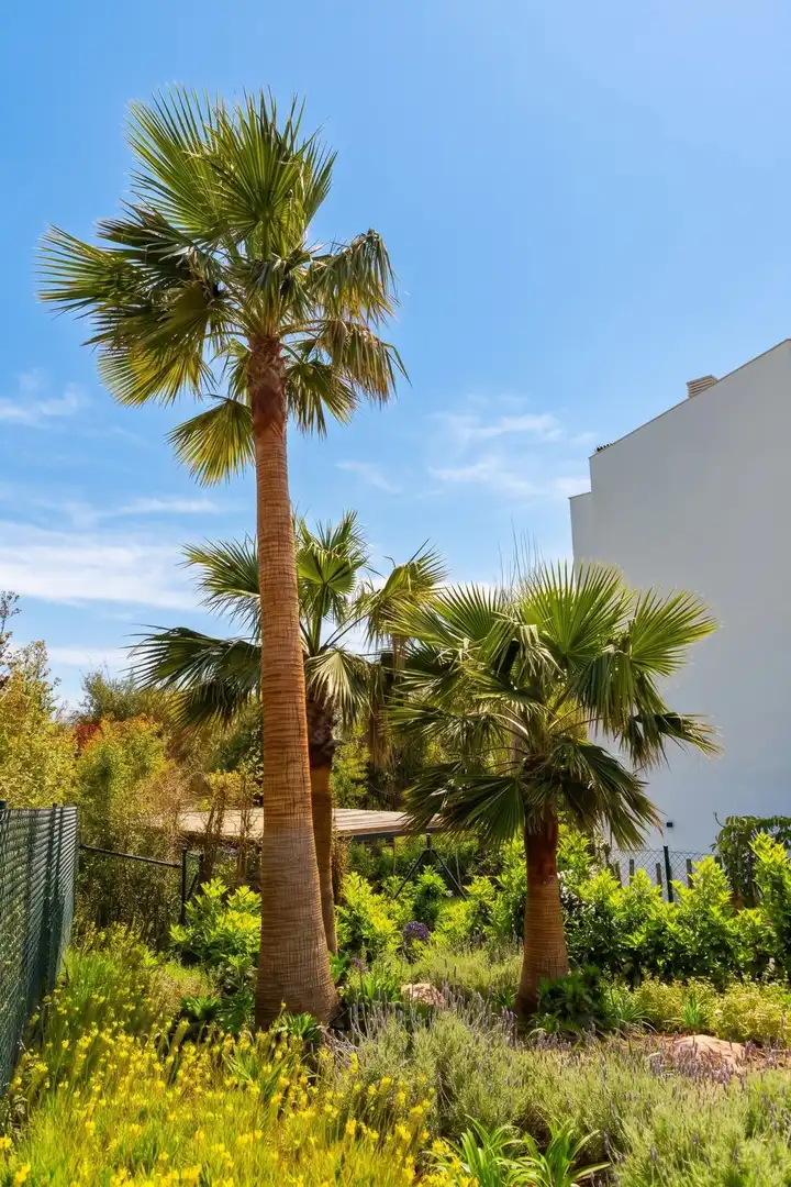 Vista exterior de Apartament en venda en Port de Pollença