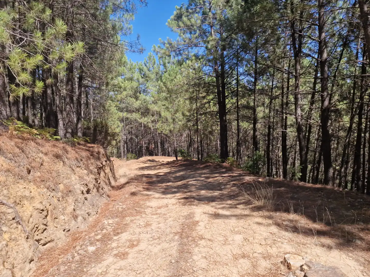 Terreno en venta en Guisando, Ávila