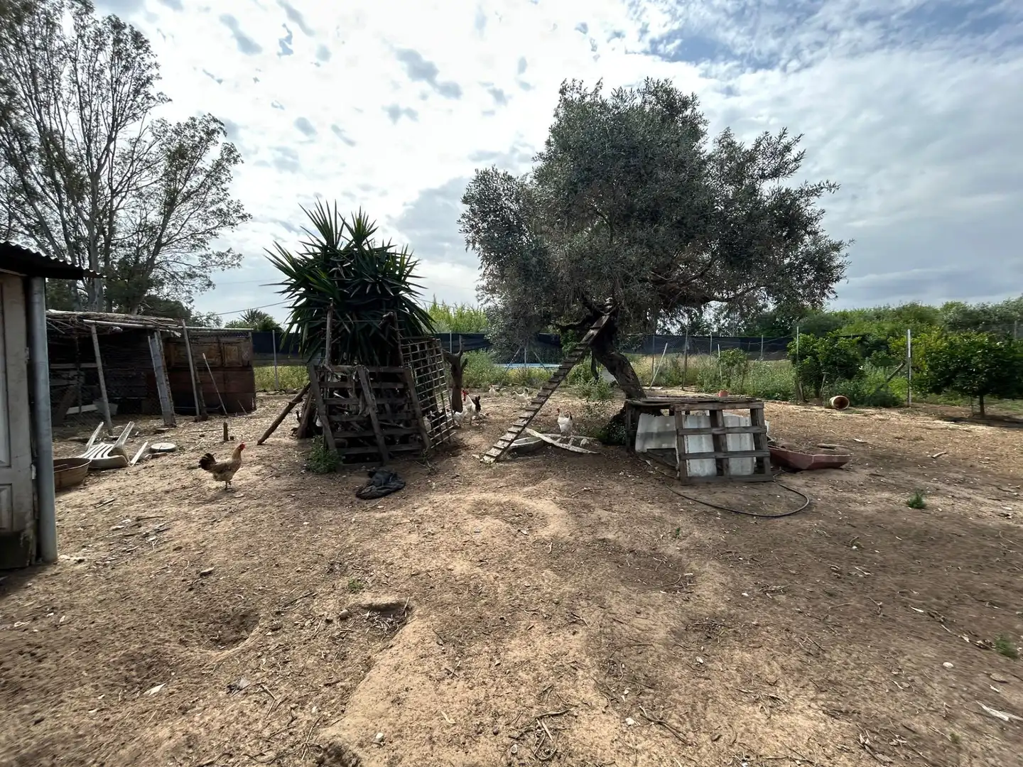 Finca rústica en venta en Utrera