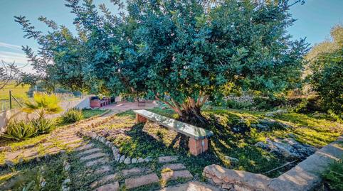 Photo 3 of Country house to rent in Sa Casa Blanca, Illes Balears
