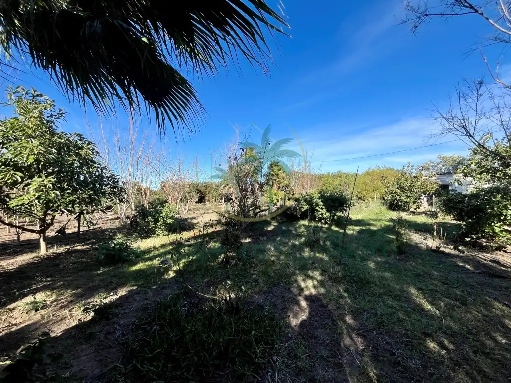 Houses for sale in Cullera