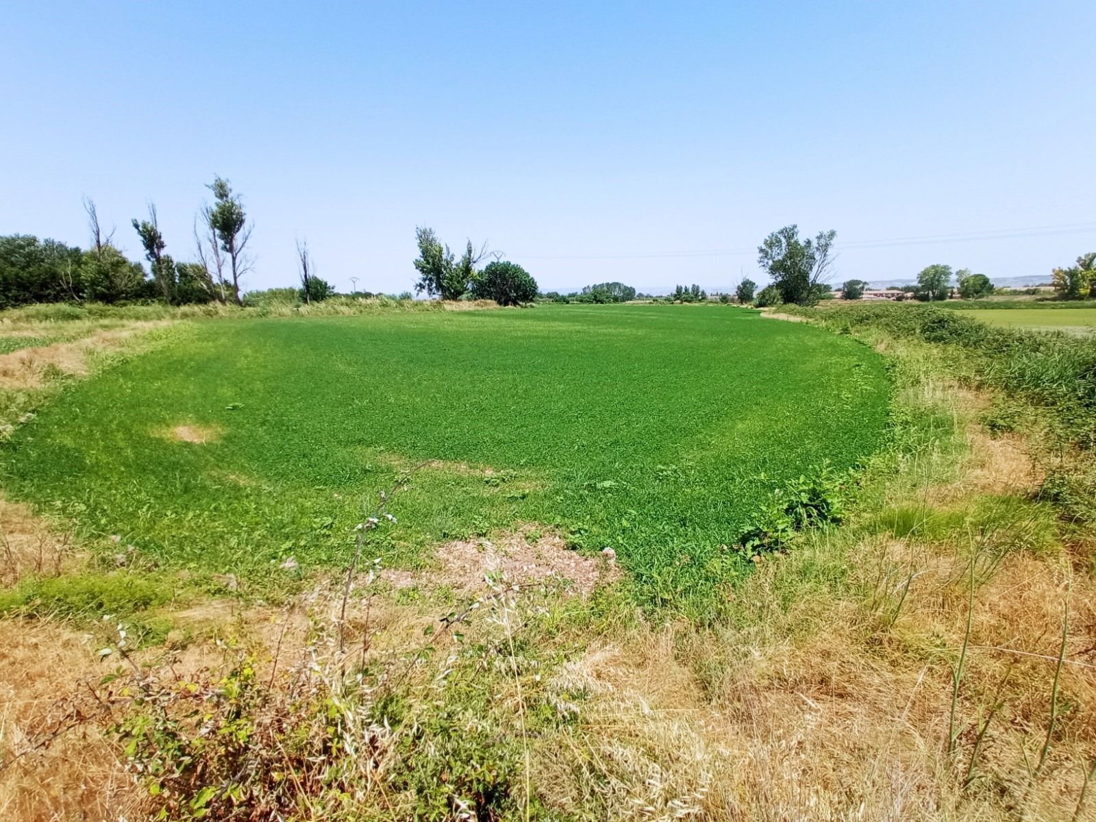 Terreno en venta en Pinseque