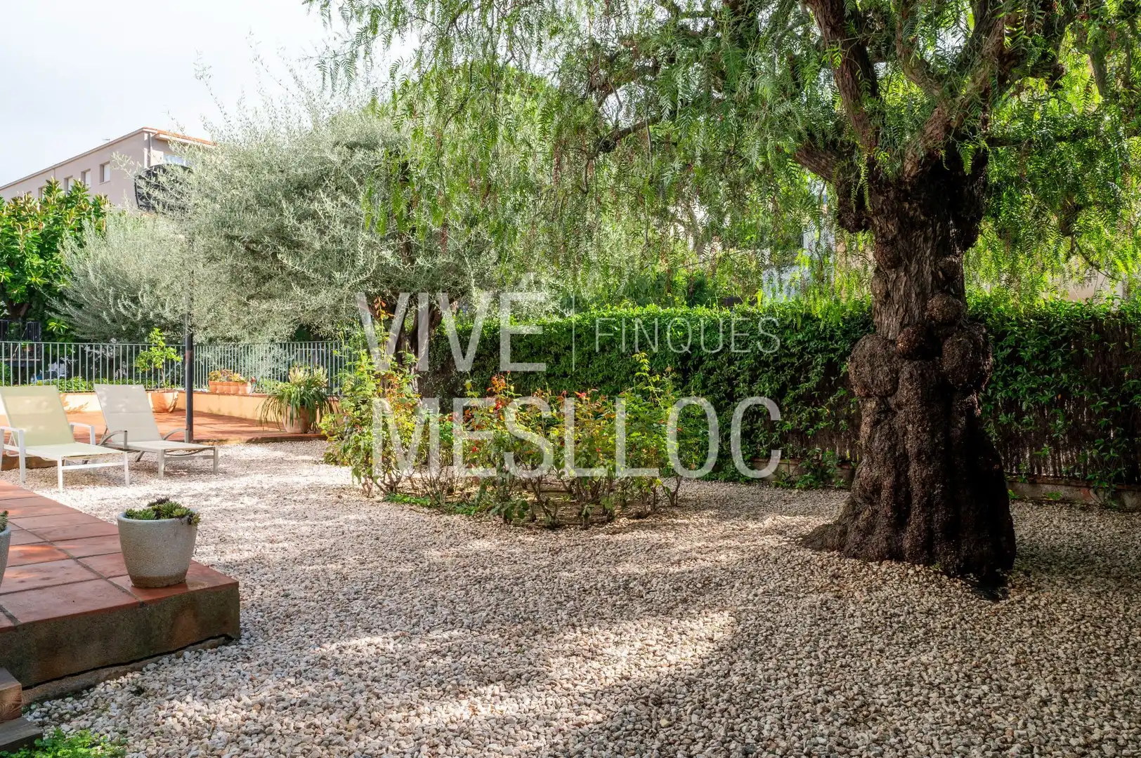 Jardín de Casa o chalet en venta en Tiana, Barcelona