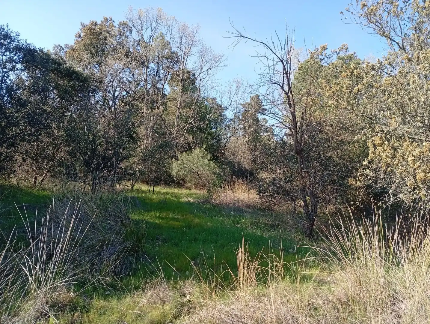 Terreni e lotti in vendita a Villanueva de la Vera, imagen 49