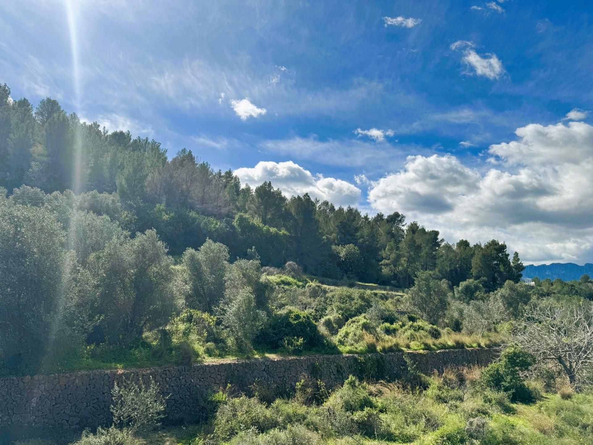 Casa o chalet en venta en Potries con Jardín privado y Terraza