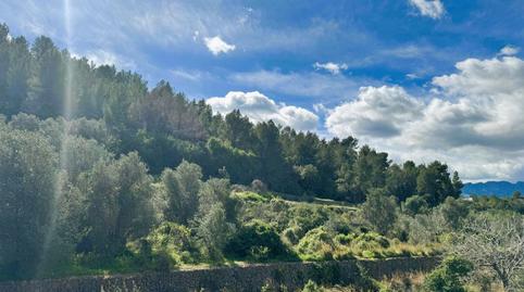 Photo 3 of House or chalet for sale in Potries, Valencia