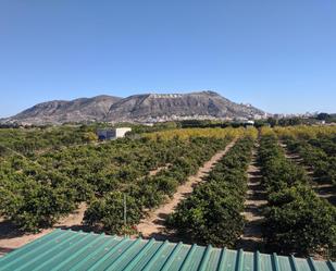 Vista exterior de Finca rústica en venda en Cullera amb Traster i Moblat