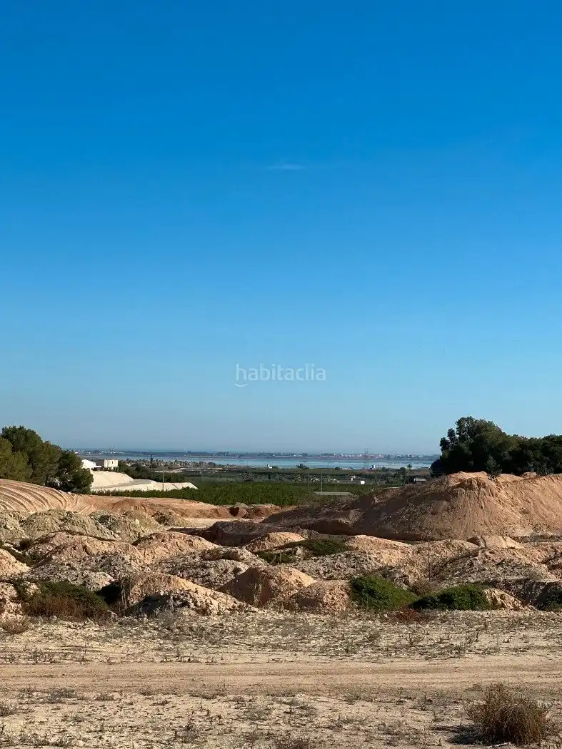 Terrain rustique à vendre à Camino de Catral 31, imagen 2