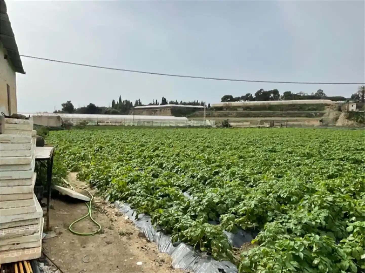 Finca rústica en venda en Algarrobo