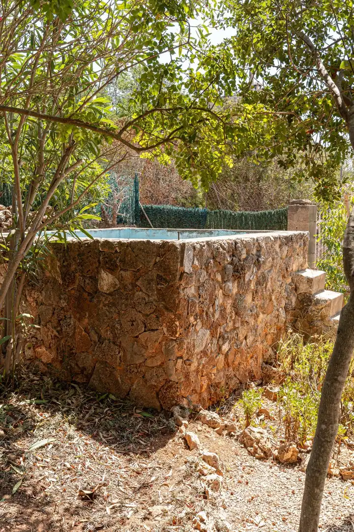 Swimming pool of Country homes for sale in Marratxí  with Terrace, Storage room and Furnished