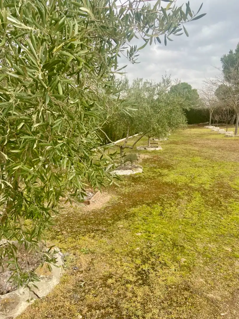 Jardí de Casa o xalet en venda en Ciudad Real amb Calefacció, Jardí privat i Traster