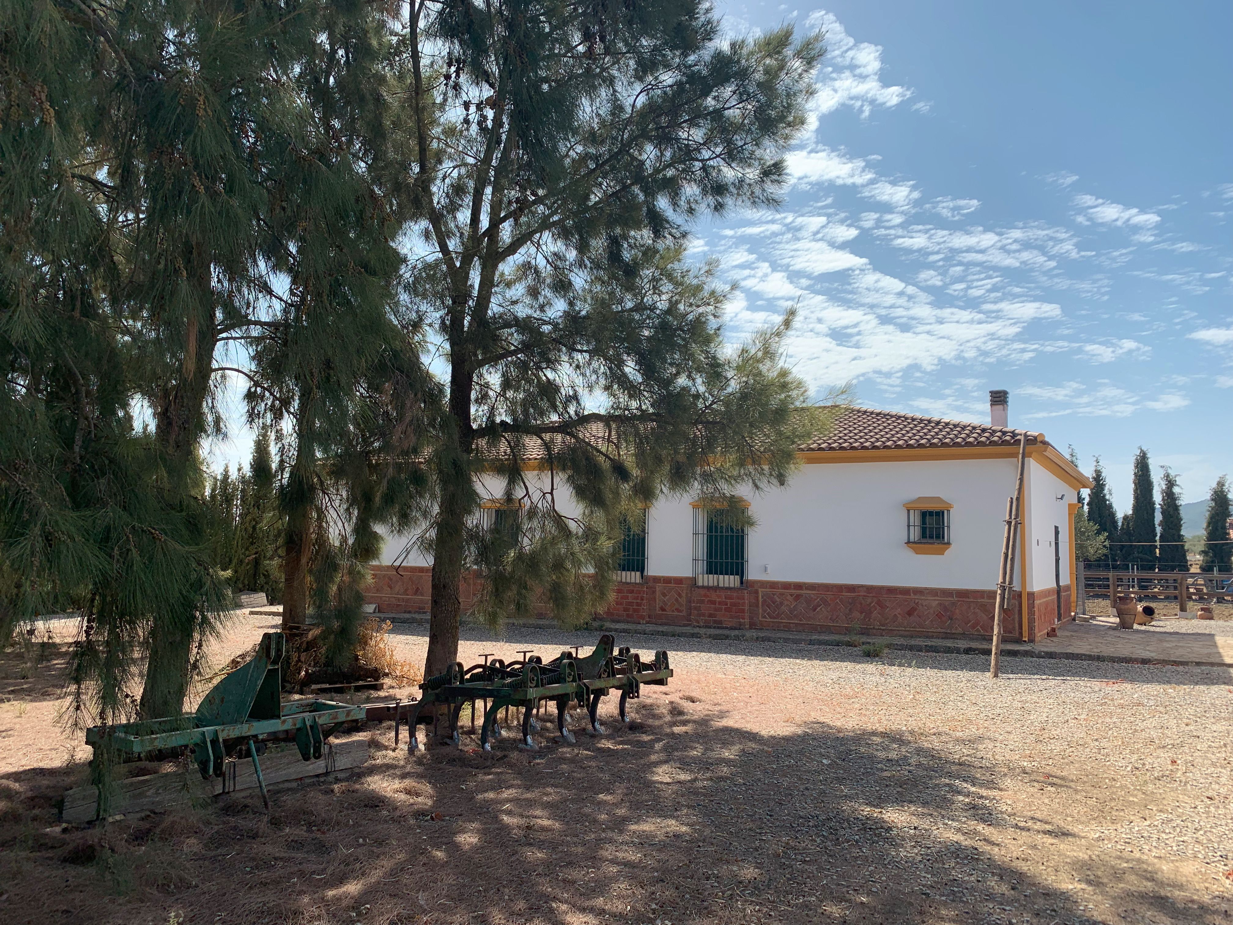 Vista exterior de Casa o xalet en venda en Llerena
