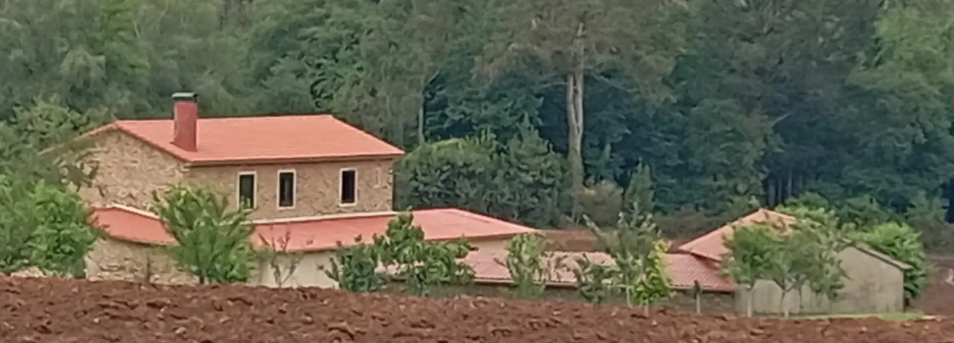 Xalet en venda a O Pino