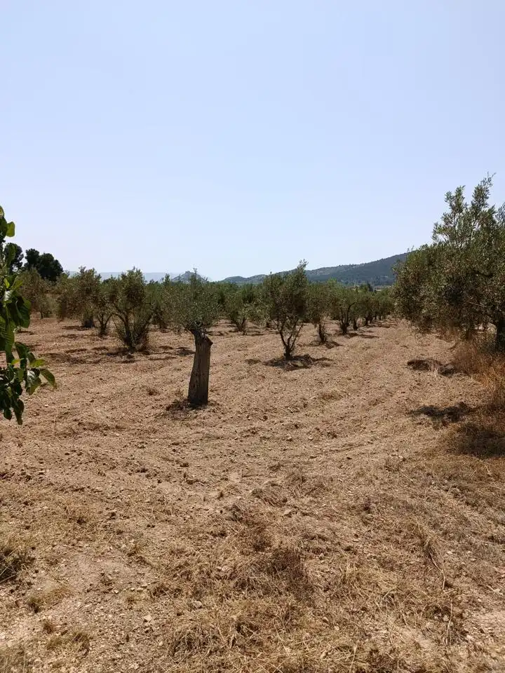 Terrenys i solars en venda a Partida Prats, imagen 7