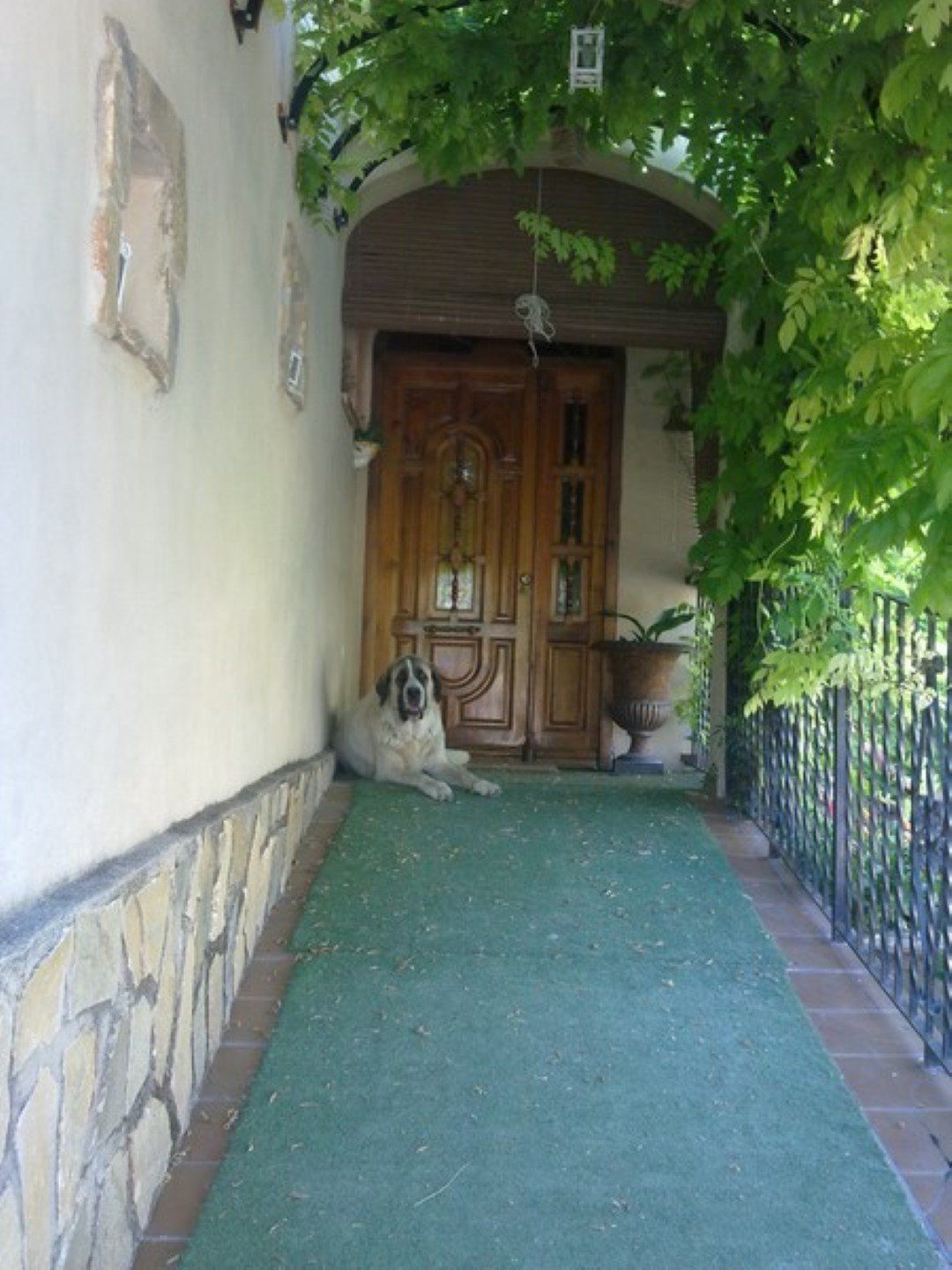 Exterior view of House or chalet for sale in Millena  with Terrace