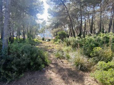 Terreno residencial en venta en Olesa de Bonesvalls