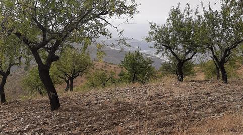 Foto 5 de Finca rústica en venda a Lugar Galvez, 3, Albuñol, Granada