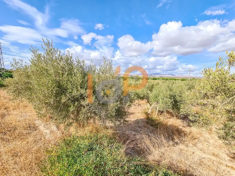 Terrenys i solars en venda a Huércal-Overa, imagen 9
