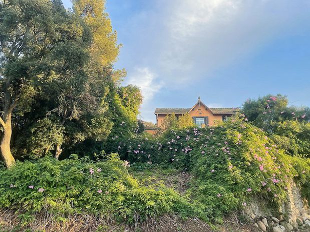 Jardí de Casa o xalet en venda en  Barcelona Capital amb Calefacció, Jardí privat i Terrassa