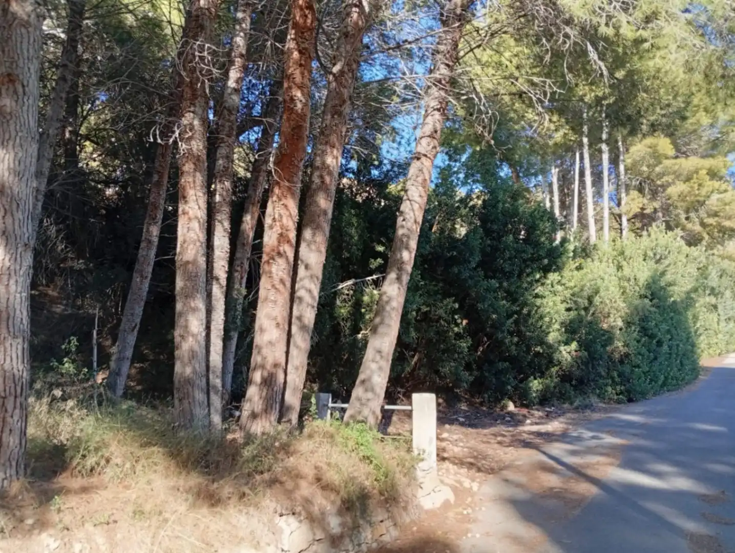Lands and plots for sale in Zona Pueblo, imagen 3