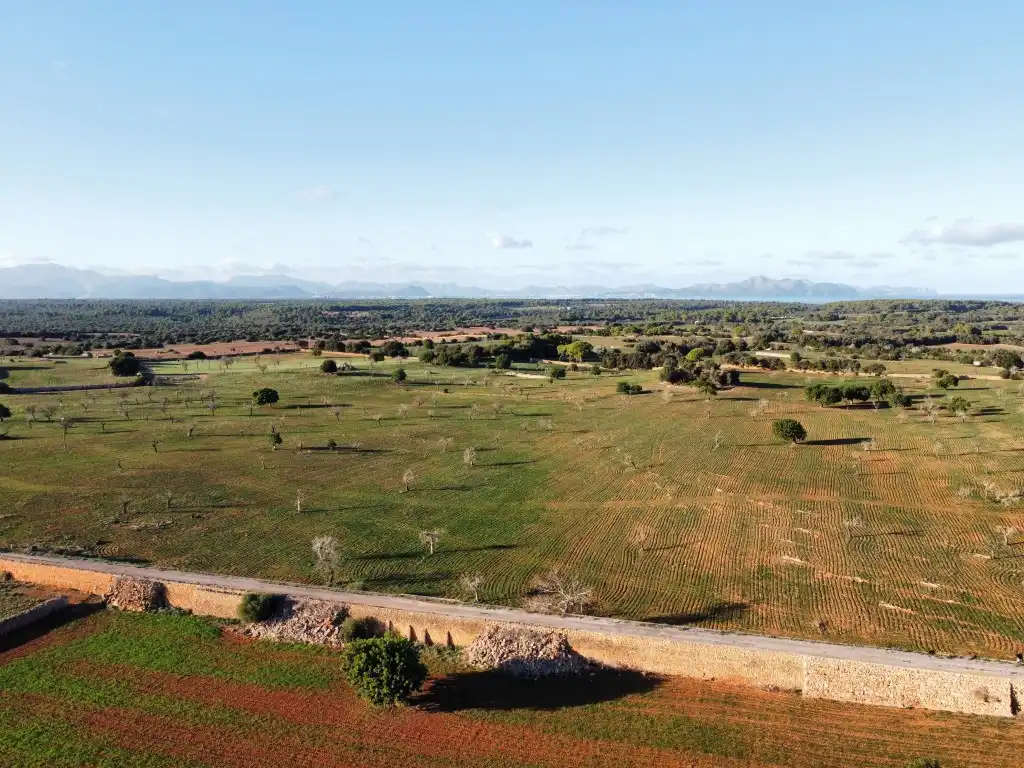 Finca rústica en venta en Santa Margalida