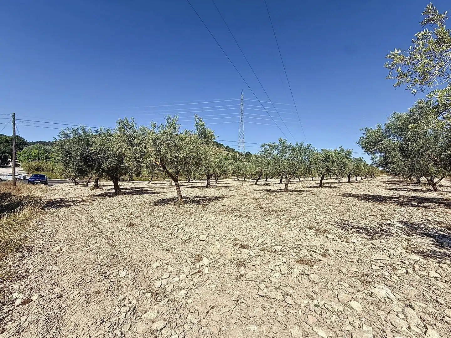 Terreno en venta en Biar