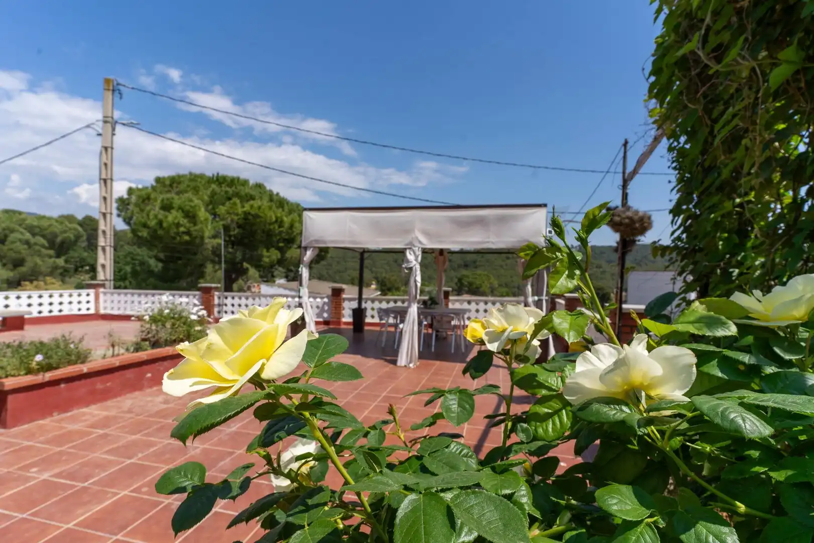 Finca rústica en venta en Olesa de Montserrat