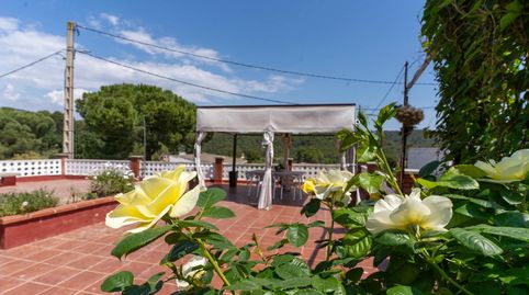 Foto 3 de Finca rústica en venta en Olesa de Montserrat, Barcelona