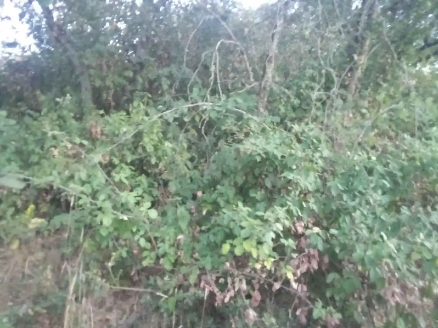 Residential land for sale in Valdenuño Fernández, imagen 6