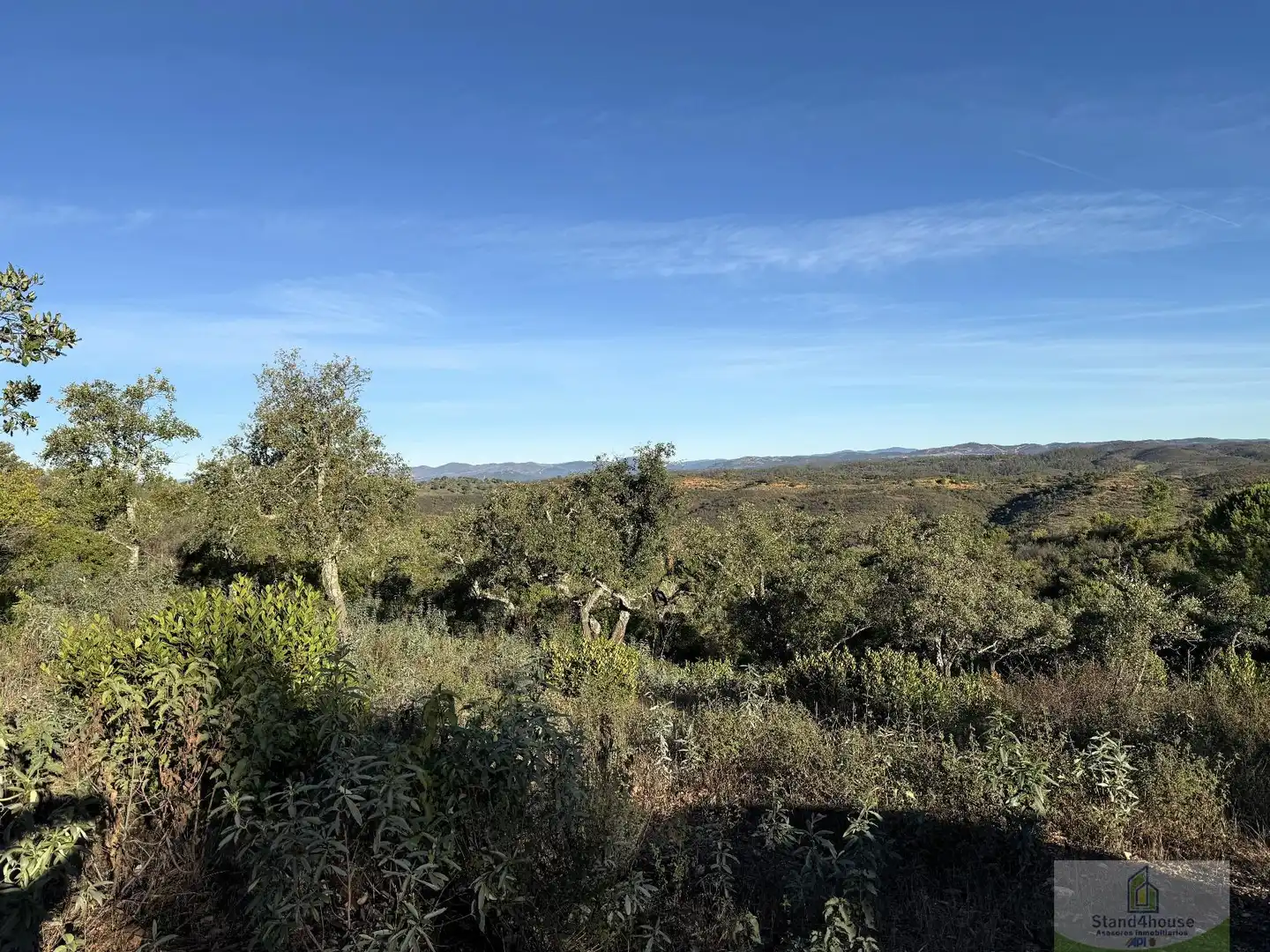 Finca rústica en venta en Berrocal