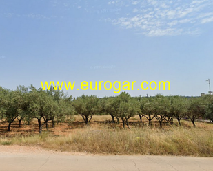 Industrial land for sale in Chiva