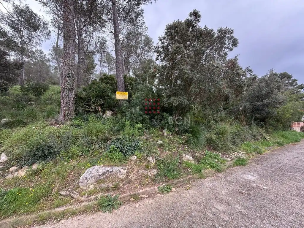 Terreny residencial en venda a Canyelles, imagen 6