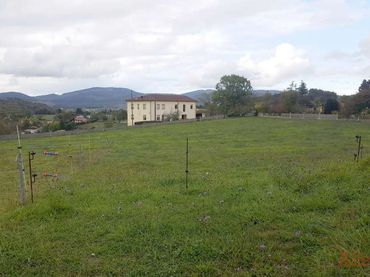 Terreno residenziale in vendita a Montecerrao