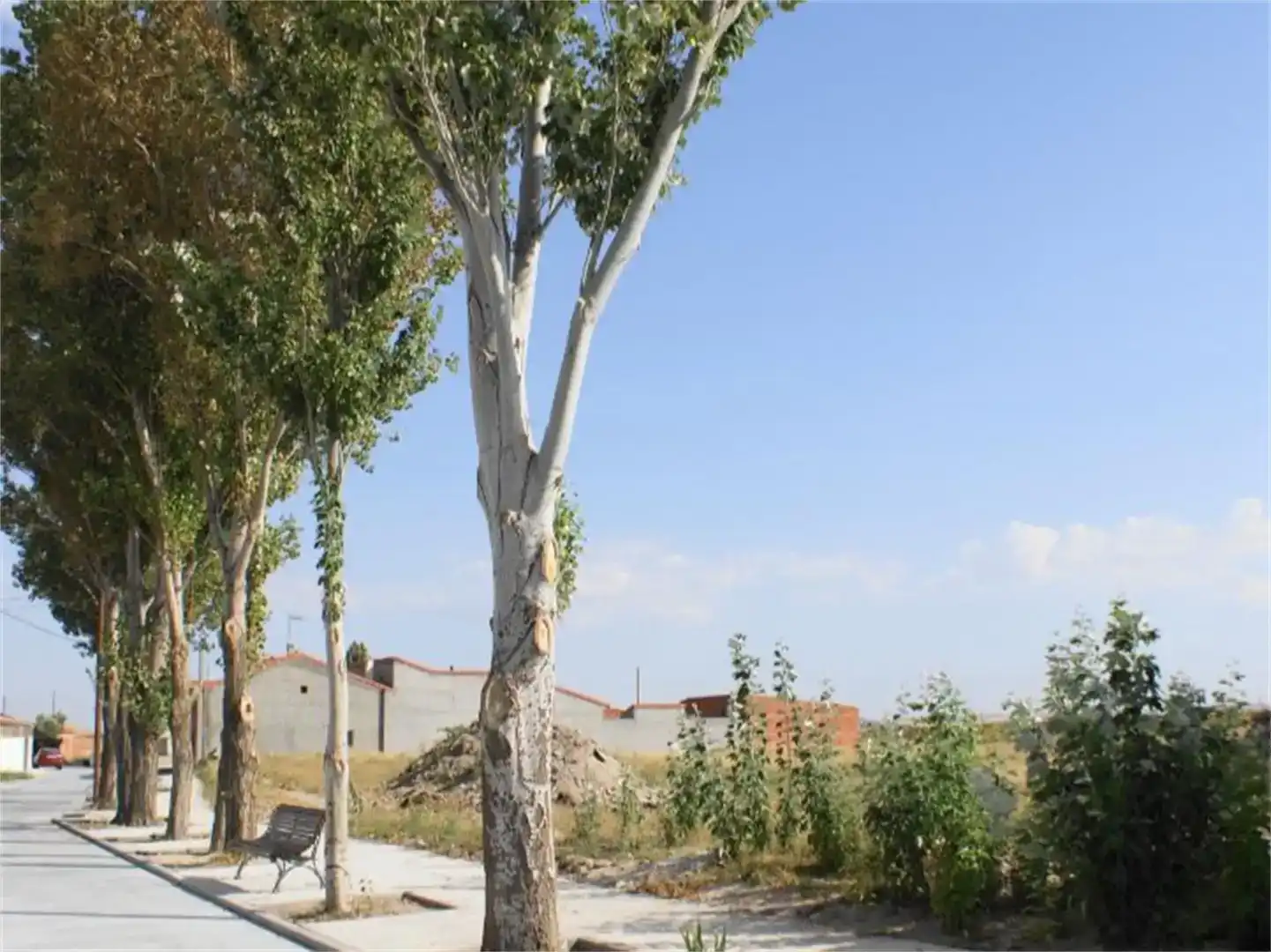 Exterior view of Land for sale in El Oso