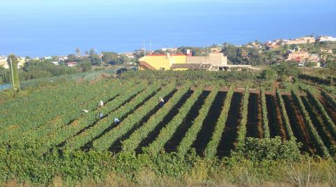 Photo 3 of Land for sale in Tacoronte - Los Naranjeros, Santa Cruz de Tenerife
