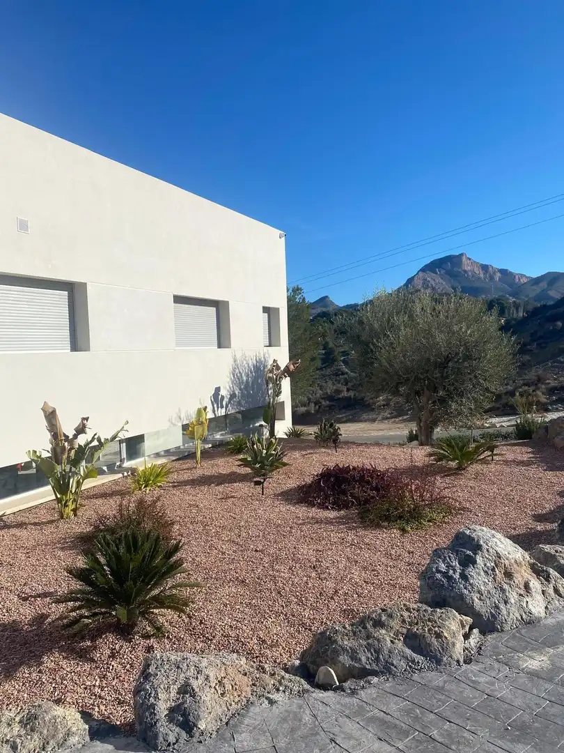 Vista exterior de Casa o xalet en venda en Elda amb Aire condicionat, Jardí privat i Terrassa