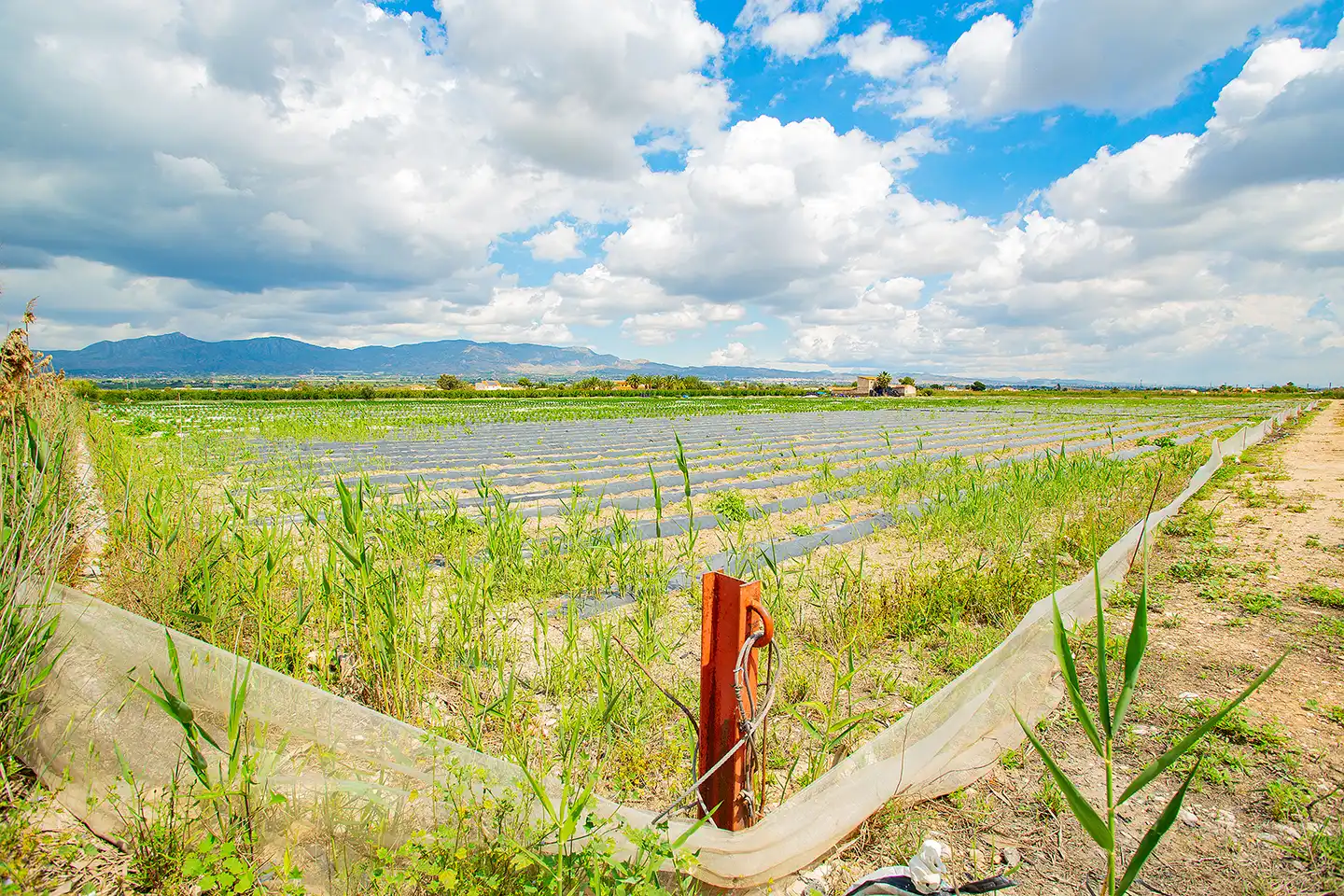 Finca rústica en venda en San Isidro