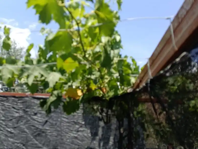 Jardín de Terreno en venta en Ugíjar