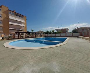 Swimming pool of Single-family semi-detached for sale in Elche / Elx  with Air Conditioner, Terrace and Balcony