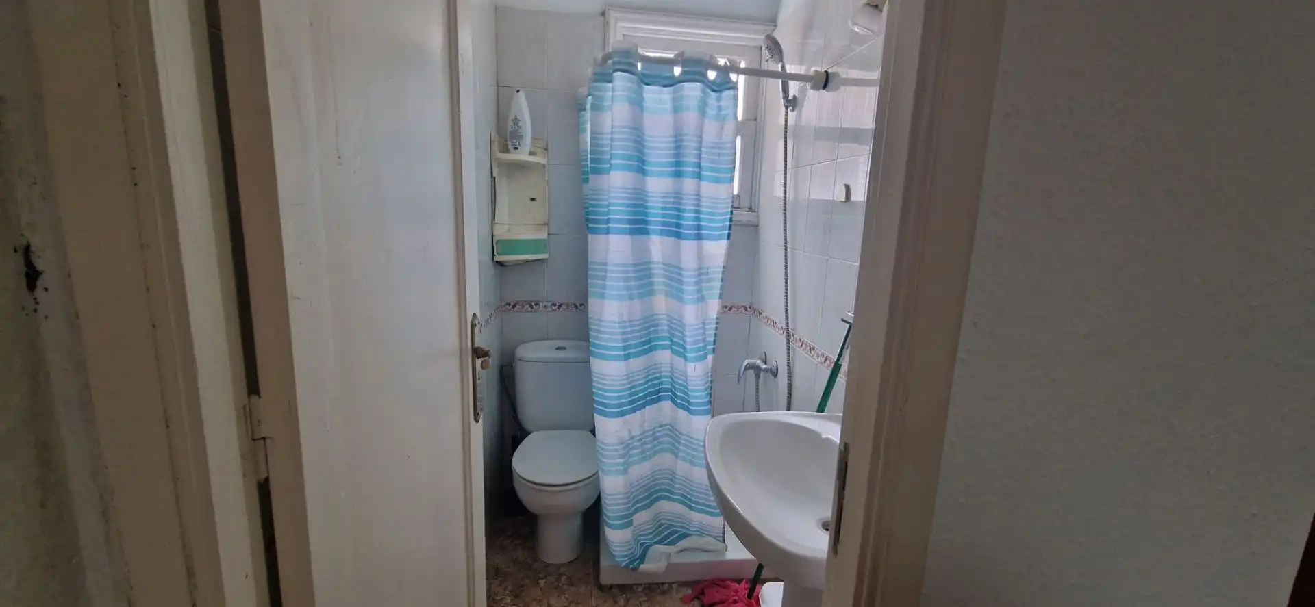 Detached homes for rent in La Laguna