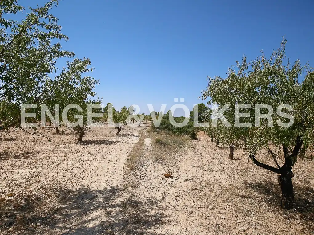 Finca rústica en venda a Requena
