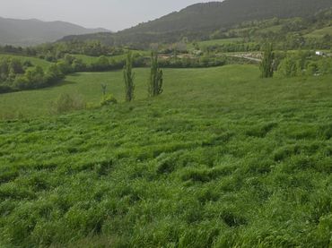 Terrenos y solares en venta en Calle SAN MIGUEL