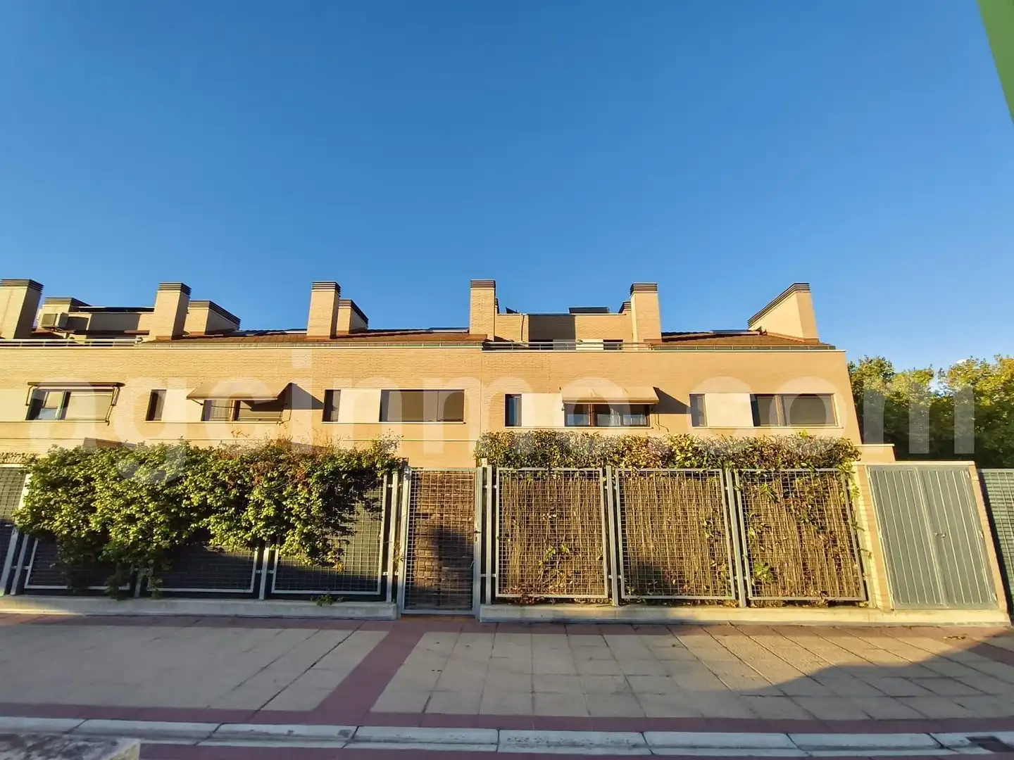 Villa con piscina in affitto a Calle LIMONERO, imagen 45