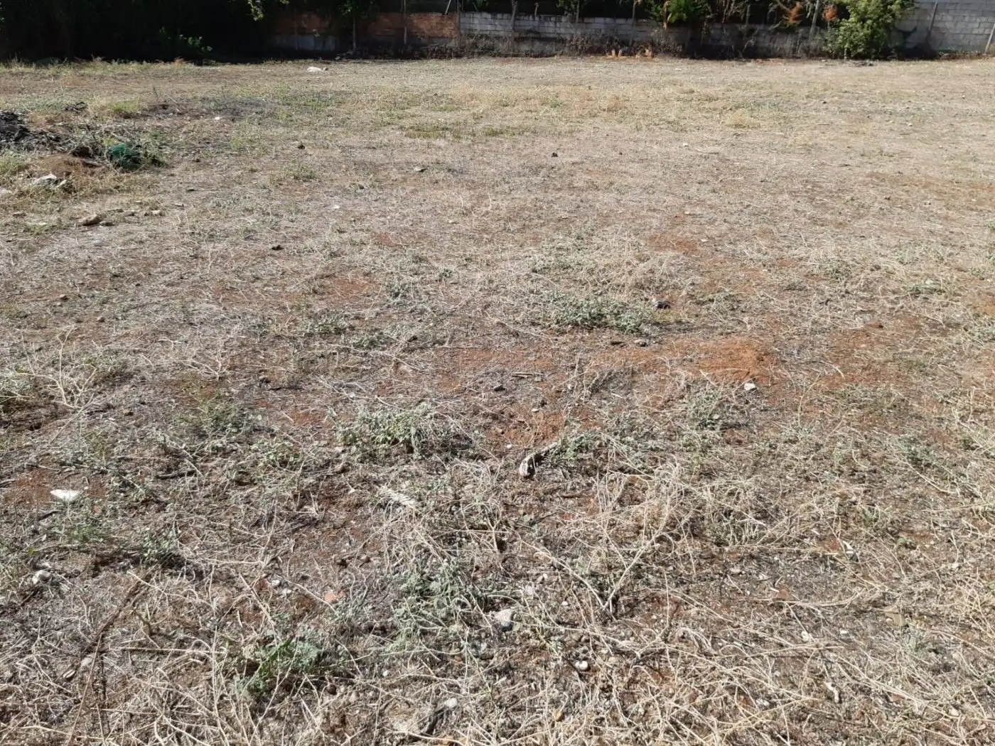 Lands and plots for sale in Norte-Sierra, imagen 3