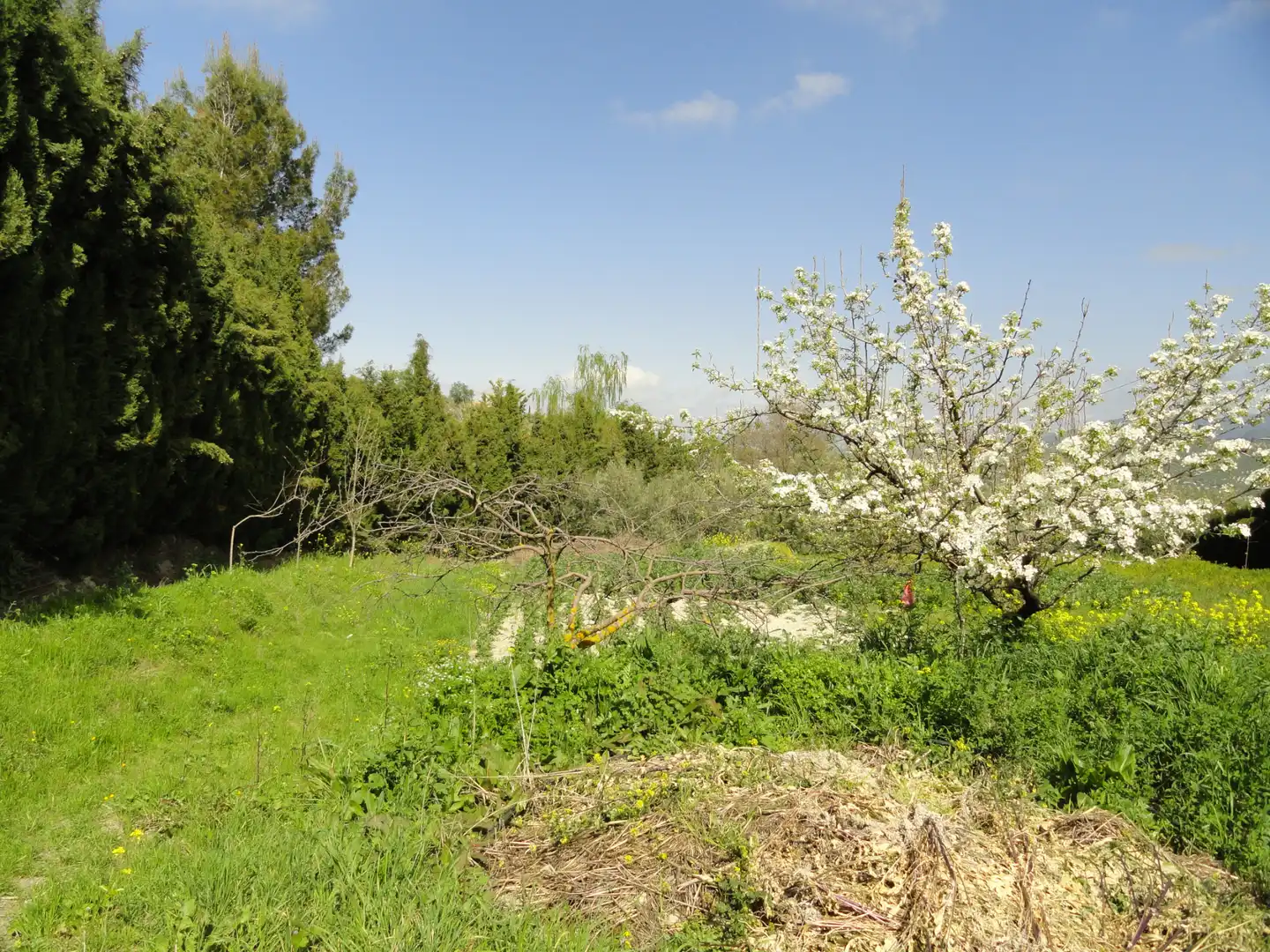 Land for sale in La Iruela