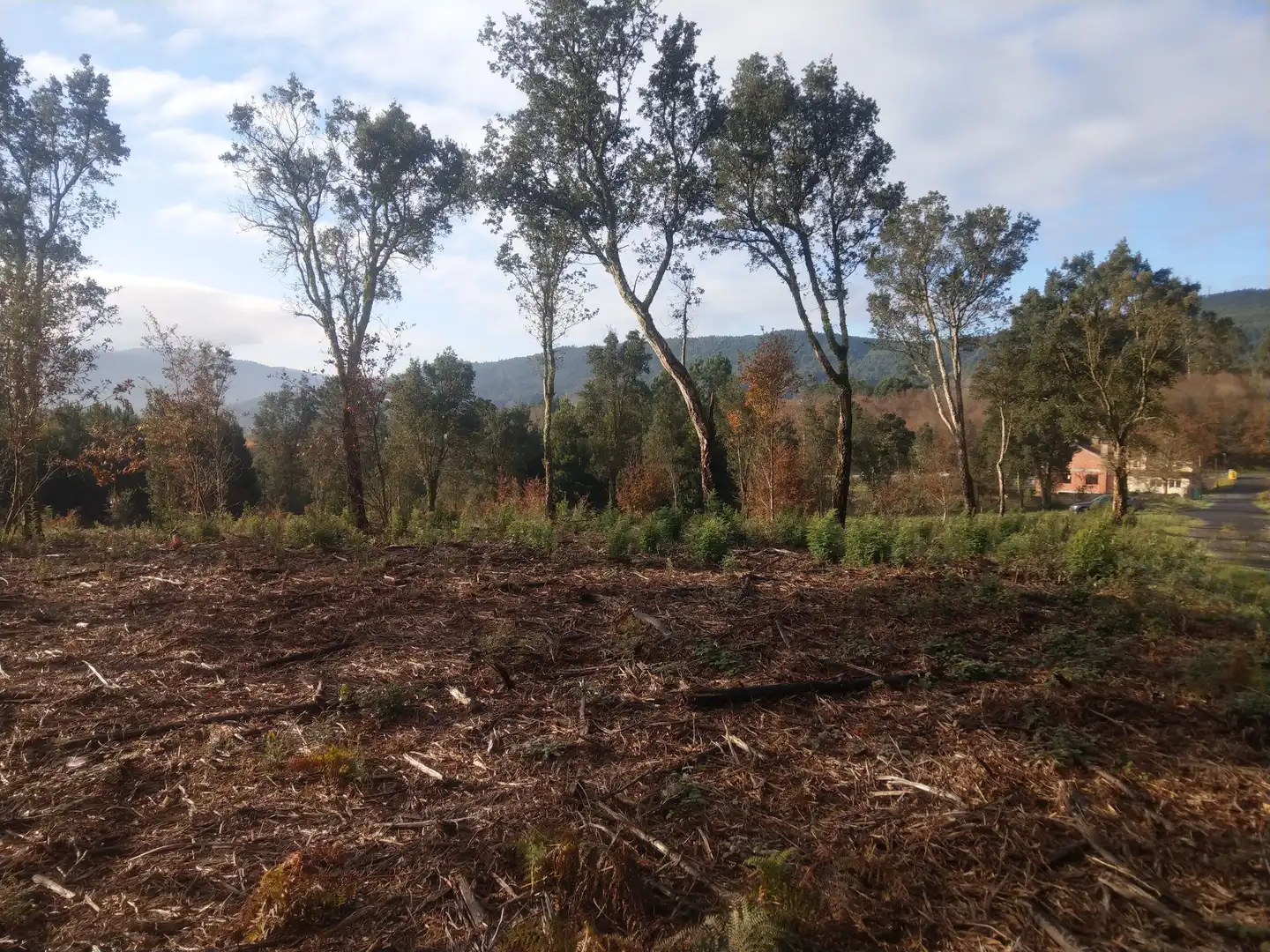 Terreni e lotti in vendita a Urbanización Ferreiriños 25, imagen 8
